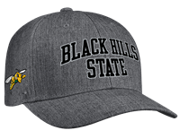 Image of JA Snapback Hat with Sting -  darkheather